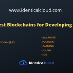 10 Best Blockchains for Developing NFT