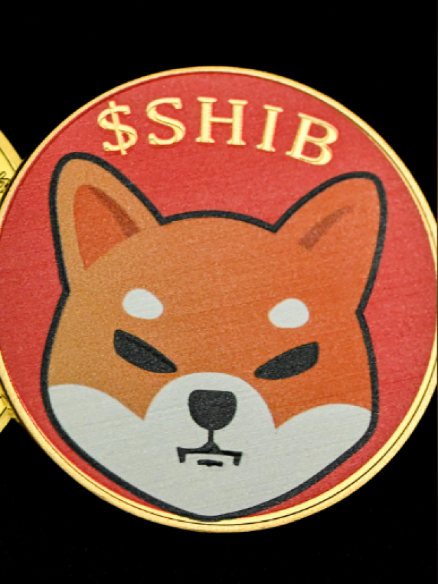 Shibu Inu (SHIB) Price Prediction - Tredecure Srges 80%