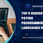 Top 5 Highest-Paying Programming Languages in the US - identicalcloud.com