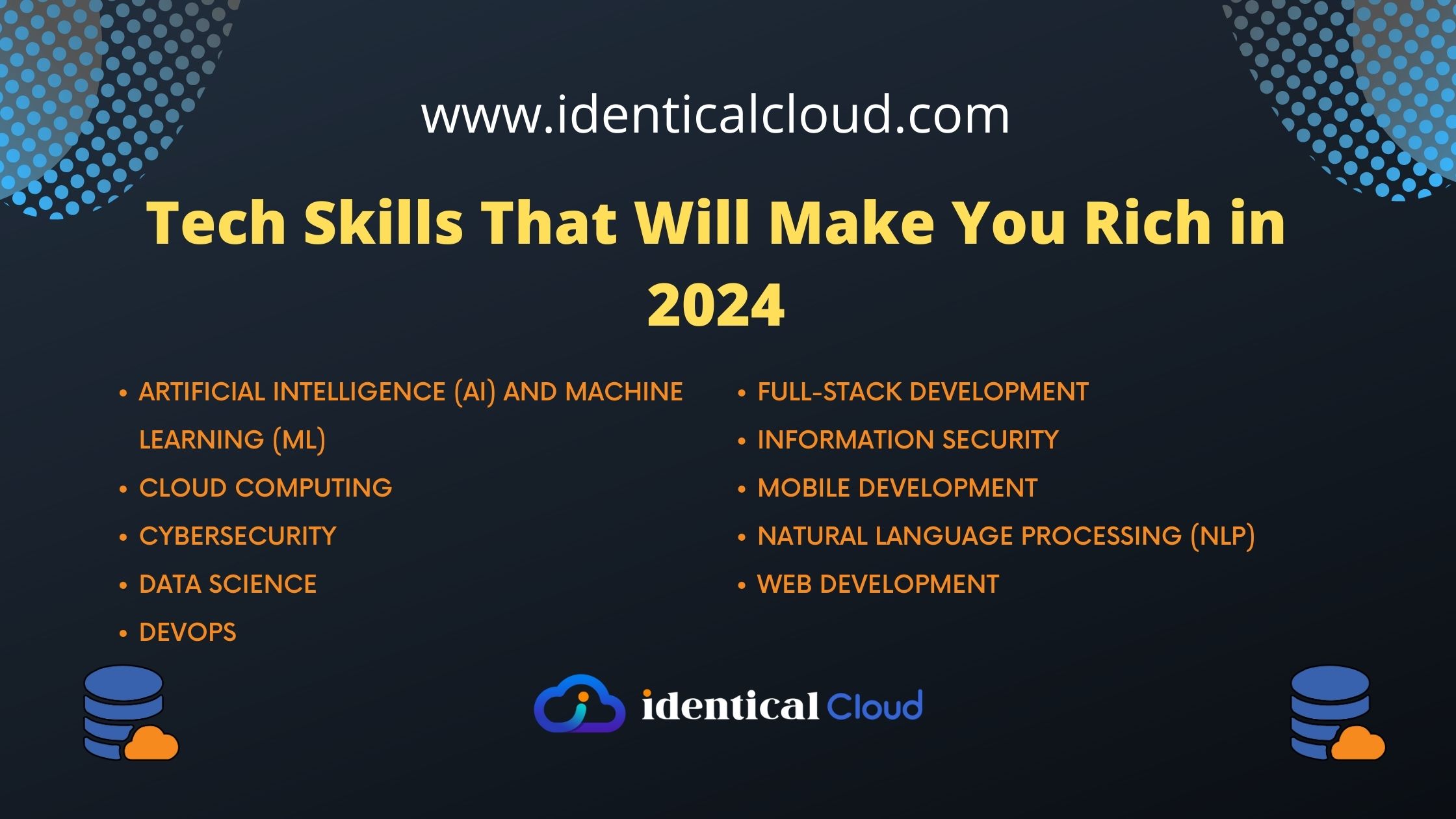 10 Tech Skills That Will Make You Rich in 2024 - identicalcloud.com