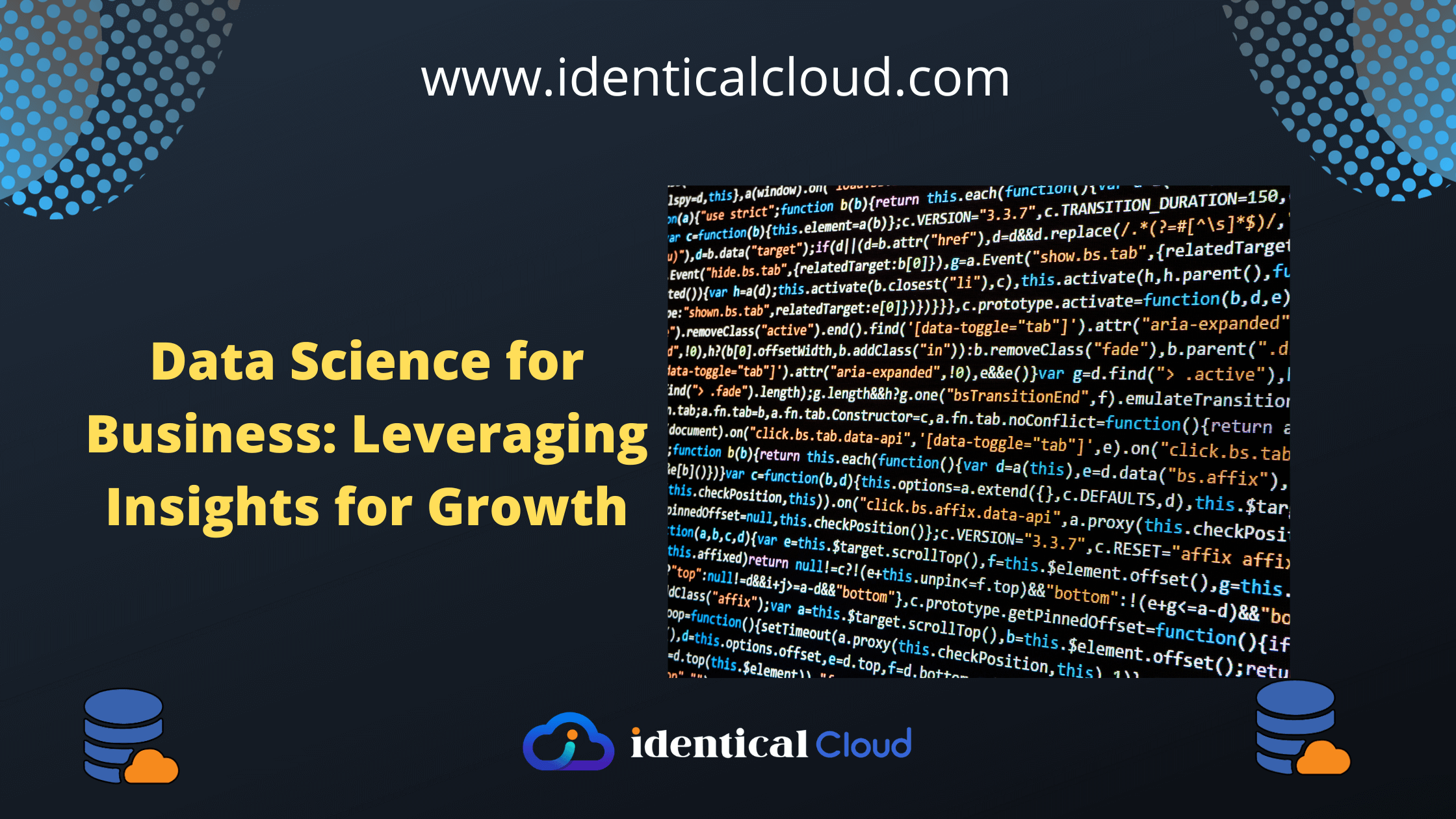 Data Science for Business - Leveraging Insights for Growth - identicalcloud.com