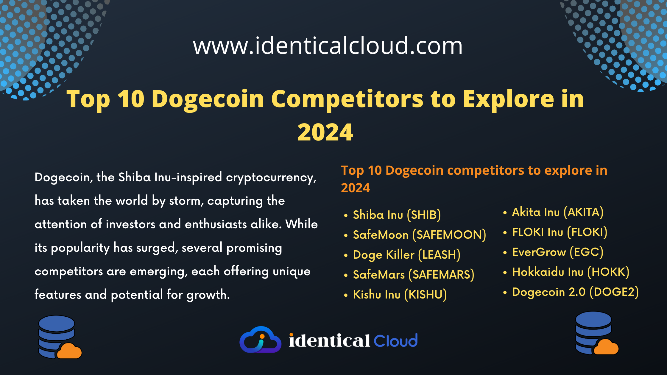 Top 10 Dogecoin Competitors to Explore in 2024 - identicalcloud.com